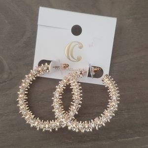 NWT Rose Gold Hoop Earrings